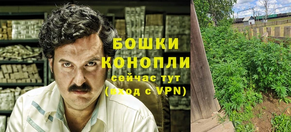 твердый Бронницы