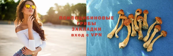 ALPHA PVP Бородино
