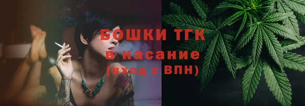 ALPHA PVP Бородино